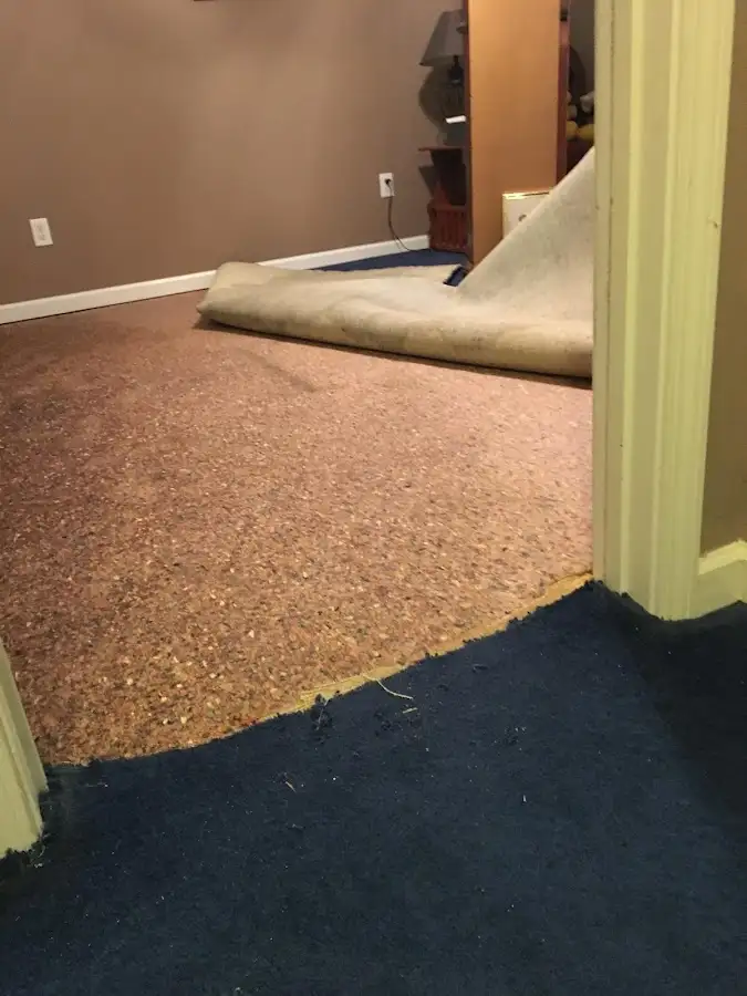 Carpet pad removal revealing water damage during Drying & Dehumidification in Peoria Heights