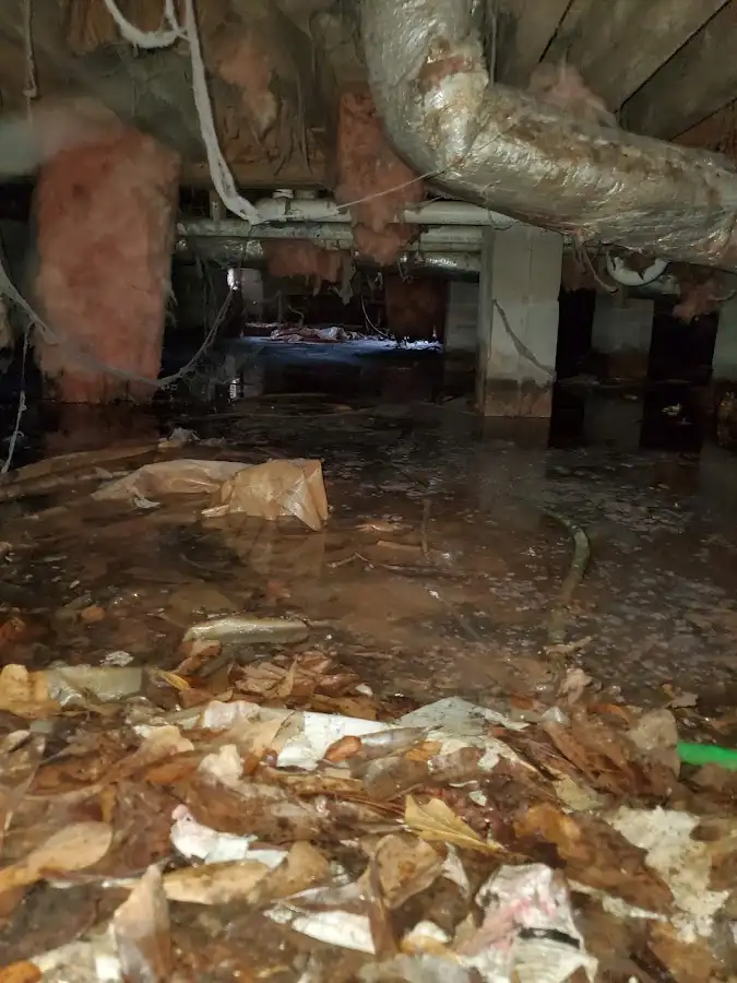Crawl space flood assessment for Leak Detection & Repair in Peoria Heights