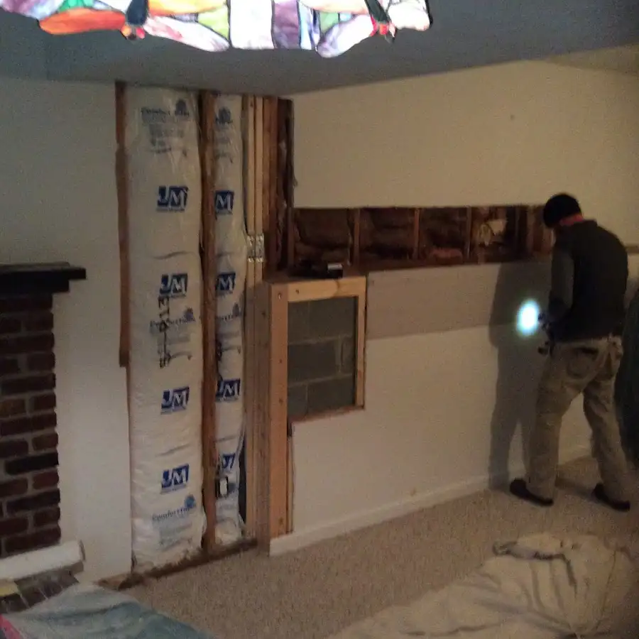 Restoration technician inspecting water damage in Peoria Heights